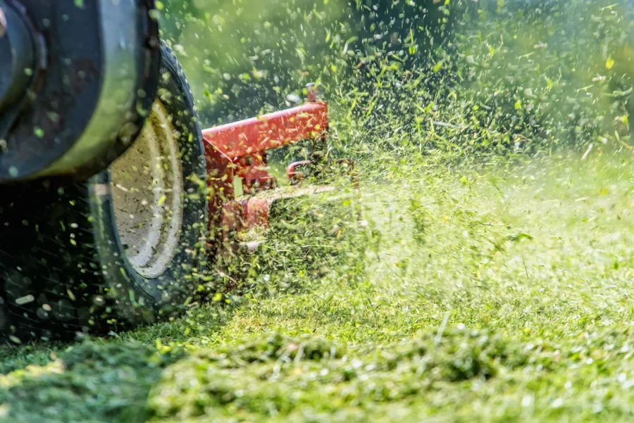 Entretien espaces verts