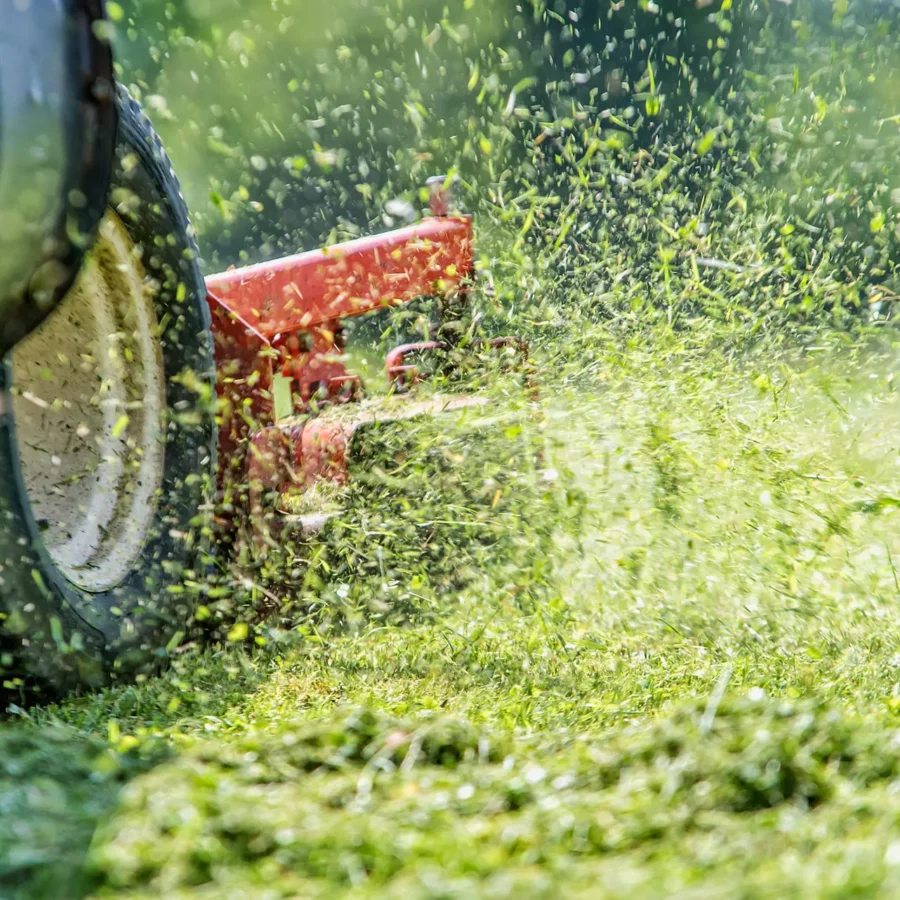 Entretien espaces verts